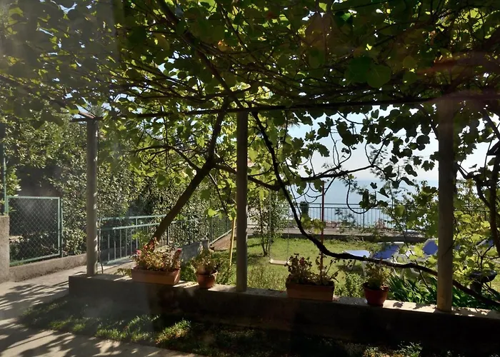 Gianfranko * Abbázia