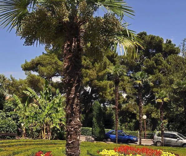 Gianfranko * Abbázia